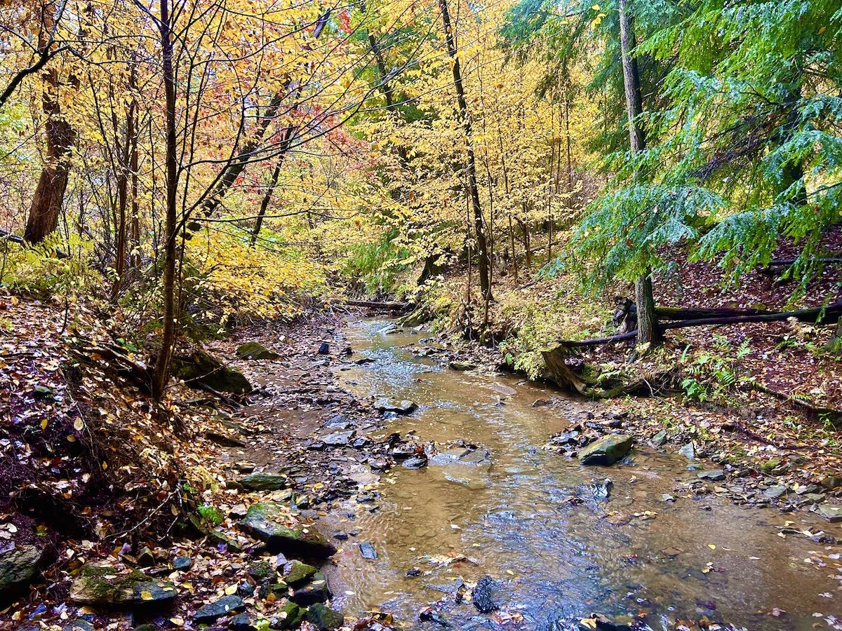 Rustic Acres fall creek