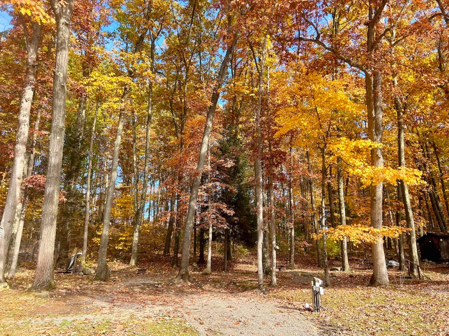 rustic acres seasonal site 25